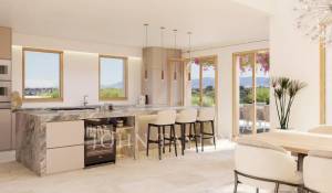 Venda Mansão Santa Maria