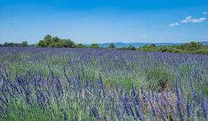 Venda Mas Gréoux-les-Bains