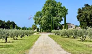 Venda Mas L'Isle-sur-la-Sorgue