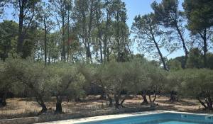 Venda Mas Saint-Rémy-de-Provence