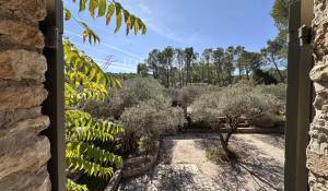 Venda Mas Saint-Rémy-de-Provence