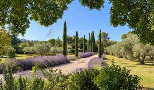 Venda Mas Saint-Rémy-de-Provence