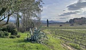 Venda Mas Villedieu
