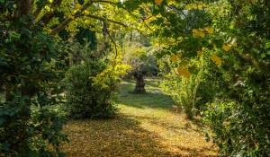 Venda Moradia Aix-en-Provence