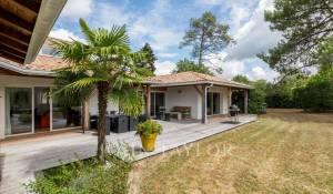 Venda Moradia Blanquefort