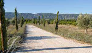 Venda Moradia Cabrières-d'Avignon