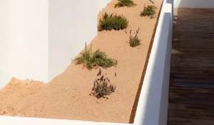 Venda Moradia Carvalhal