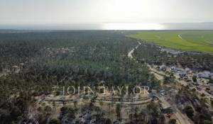 Venda Moradia Carvalhal