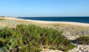 Venda Moradia Carvalhal