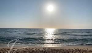 Venda Moradia Carvalhal