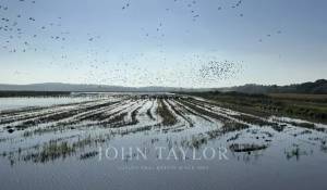 Venda Moradia Carvalhal