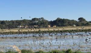 Venda Moradia Carvalhal