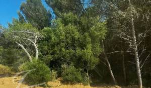 Venda Moradia Cascais e Estoril