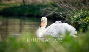 Venda Moradia Chantilly