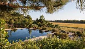 Venda Moradia Comporta