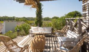 Venda Moradia Comporta