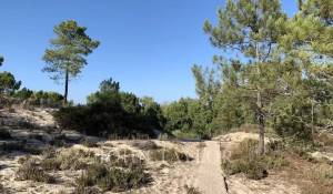 Venda Moradia Comporta