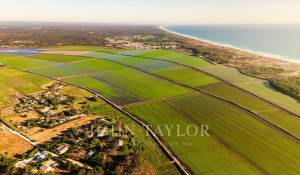 Venda Moradia Comporta