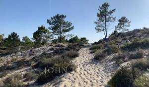 Venda Moradia Comporta