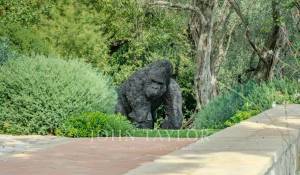 Venda Moradia Grasse