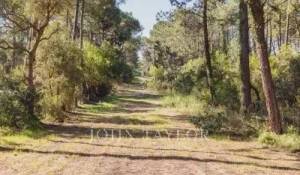 Venda Moradia Lège-Cap-Ferret