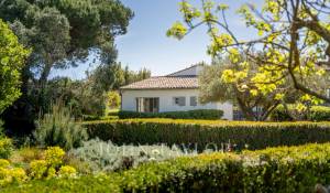 Venda Moradia Les Portes-en-Ré