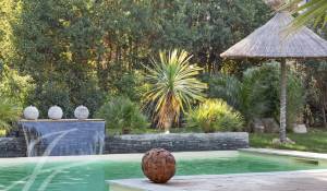 Venda Moradia Maillane