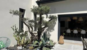 Venda Moradia Maillane