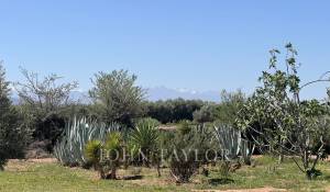 Venda Moradia Marrakech