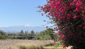 Venda Moradia Marrakech