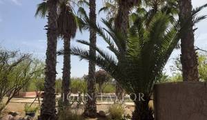 Venda Moradia Marrakech