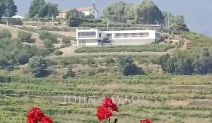 Venda Moradia Mesão Frio (Santo André)