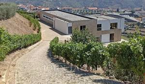 Venda Moradia Mesão Frio (Santo André)