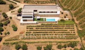 Venda Moradia Mesão Frio (Santo André)