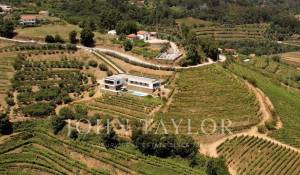 Venda Moradia Mesão Frio (Santo André)