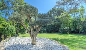 Venda Moradia Mougins