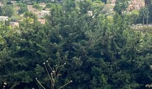 Venda Moradia Mougins