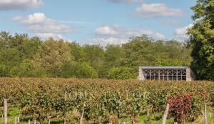 Venda Moradia Podensac