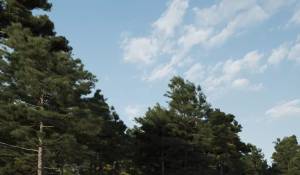 Venda Moradia Roca Llisa