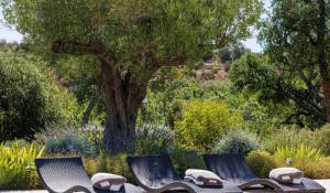 Venda Moradia Roquefort-les-Pins