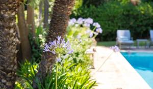 Venda Moradia Saint-Paul-de-Vence