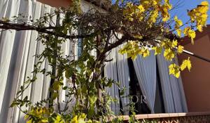 Venda Moradia Signes