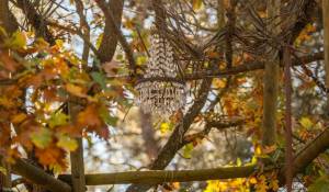 Venda Moradia Venelles