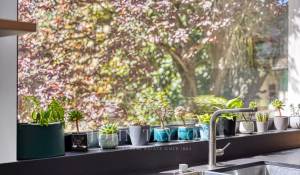 Venda Moradia Versailles