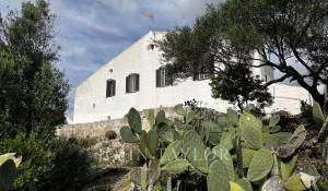 Venda Propriedade Alaior