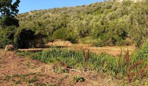 Venda Propriedade Alaior