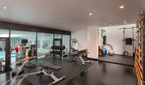 Venda Propriedade Anières