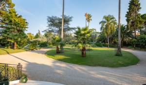 Venda Propriedade Antibes