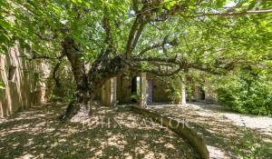 Venda Propriedade Bonnieux