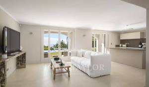 Venda Propriedade Cannes